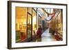 Passage Des Panoramas, Paris, France, Europe-Neil Farrin-Framed Photographic Print