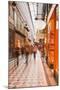 Passage Jouffroy in Central Paris, France, Europe-Julian Elliott-Mounted Photographic Print