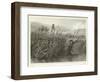 Passage of the Tagliamento-Denis Auguste Marie Raffet-Framed Giclee Print