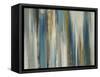 Passage of Time-Lisa Ridgers-Framed Stretched Canvas