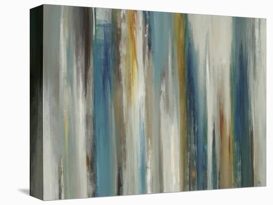 Passage of Time-Lisa Ridgers-Stretched Canvas