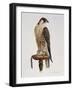 Passage Peregrine, 1980-Mary Clare Critchley-Salmonson-Framed Giclee Print