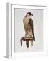 Passage Peregrine, 1980-Mary Clare Critchley-Salmonson-Framed Giclee Print