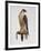 Passage Peregrine, 1980-Mary Clare Critchley-Salmonson-Framed Giclee Print