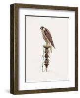 Passage Peregrine, 1986-Mary Clare Critchley-Salmonson-Framed Giclee Print