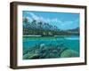 Passage-Scott Westmoreland-Framed Art Print