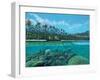 Passage-Scott Westmoreland-Framed Art Print