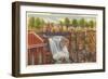 Passaic Falls, Paterson, New Jersey-null-Framed Art Print