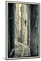 Passau, Germany, Narrow Alleyway of Historic Village, Vintage Look-Sheila Haddad-Mounted Photographic Print