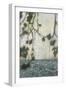 Passeig de Gracia-Josep Cisquella-Framed Photographic Print