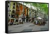 Passeig del Born, the shopping street of Palma, Majorca, Balearic Islands, Spain, Europe-Carlo Morucchio-Framed Stretched Canvas