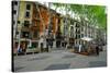 Passeig del Born, the shopping street of Palma, Majorca, Balearic Islands, Spain, Europe-Carlo Morucchio-Stretched Canvas