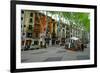 Passeig del Born, the shopping street of Palma, Majorca, Balearic Islands, Spain, Europe-Carlo Morucchio-Framed Photographic Print