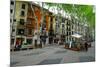Passeig del Born, the shopping street of Palma, Majorca, Balearic Islands, Spain, Europe-Carlo Morucchio-Mounted Photographic Print