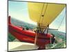 Passenger and Pilot in Biplane over Tulip Fields, Skagit Valley, Washington, USA-Stuart Westmoreland-Mounted Photographic Print