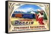 Passenger Insurance - Ticket Issued Here - International Train Service-null-Framed Stretched Canvas