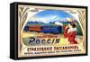 Passenger Insurance - Ticket Issued Here - International Train Service-null-Framed Stretched Canvas