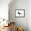 Passenger Pigeon-Spencer Sutton-Framed Art Print displayed on a wall