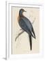 Passenger Pigeon-Reverend Francis O. Morris-Framed Photographic Print