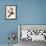 Passenger Pigeons-John James Audubon-Framed Giclee Print displayed on a wall
