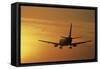 Passenger Plane Taking Off LAX Airport Los Angeles CA-Joseph Sohm-Framed Stretched Canvas