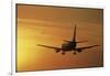 Passenger Plane Taking Off LAX Airport Los Angeles CA-Joseph Sohm-Framed Photographic Print