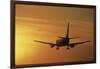 Passenger Plane Taking Off LAX Airport Los Angeles CA-Joseph Sohm-Framed Photographic Print