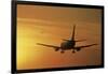 Passenger Plane Taking Off LAX Airport Los Angeles CA-Joseph Sohm-Framed Photographic Print