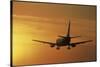 Passenger Plane Taking Off LAX Airport Los Angeles CA-Joseph Sohm-Stretched Canvas