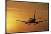 Passenger Plane Taking Off LAX Airport Los Angeles CA-Joseph Sohm-Mounted Photographic Print