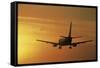 Passenger Plane Taking Off LAX Airport Los Angeles CA-Joseph Sohm-Framed Stretched Canvas