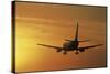 Passenger Plane Taking Off LAX Airport Los Angeles CA-Joseph Sohm-Stretched Canvas