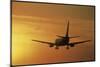 Passenger Plane Taking Off LAX Airport Los Angeles CA-Joseph Sohm-Mounted Photographic Print