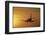 Passenger Plane Taking Off LAX Airport Los Angeles CA-Joseph Sohm-Framed Photographic Print