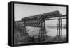 Passenger Train on Posada-Encarnation Trestle Bridge, Mexico-W.H. Jackson-Framed Stretched Canvas