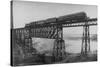 Passenger Train on Posada-Encarnation Trestle Bridge, Mexico-W.H. Jackson-Stretched Canvas