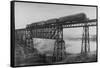 Passenger Train on Posada-Encarnation Trestle Bridge, Mexico-W.H. Jackson-Framed Stretched Canvas