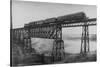 Passenger Train on Posada-Encarnation Trestle Bridge, Mexico-W.H. Jackson-Stretched Canvas
