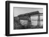 Passenger Train on Posada-Encarnation Trestle Bridge, Mexico-W.H. Jackson-Framed Photographic Print
