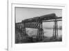 Passenger Train on Posada-Encarnation Trestle Bridge, Mexico-W.H. Jackson-Framed Photographic Print