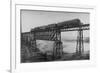 Passenger Train on Posada-Encarnation Trestle Bridge, Mexico-W.H. Jackson-Framed Photographic Print