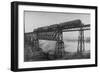 Passenger Train on Posada-Encarnation Trestle Bridge, Mexico-W.H. Jackson-Framed Photographic Print