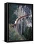 Passenger Train on Rock Bridge, Switzerland-Gavriel Jecan-Framed Stretched Canvas