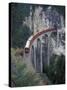 Passenger Train on Rock Bridge, Switzerland-Gavriel Jecan-Stretched Canvas