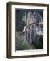 Passenger Train on Rock Bridge, Switzerland-Gavriel Jecan-Framed Photographic Print