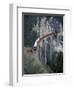 Passenger Train on Rock Bridge, Switzerland-Gavriel Jecan-Framed Photographic Print