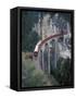 Passenger Train on Rock Bridge, Switzerland-Gavriel Jecan-Framed Stretched Canvas