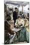 Passengers' Afternoon Recreation on the Deck of a P & O Steamship Circa 1900-null-Mounted Premium Giclee Print