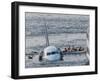 Passengers in a Raft Move from an Airbus 320 US Aircraft That Has Gone Down in the Hudson River-null-Framed Photographic Print