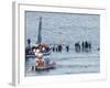 Passengers in an Inflatable Raft, Moving Away from a US Aircraft That Has Gone Down in Hudson River-null-Framed Photographic Print